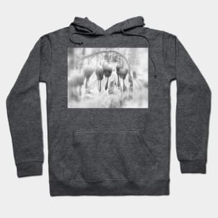 fairyland bleeding hearts, filtered black and white Hoodie